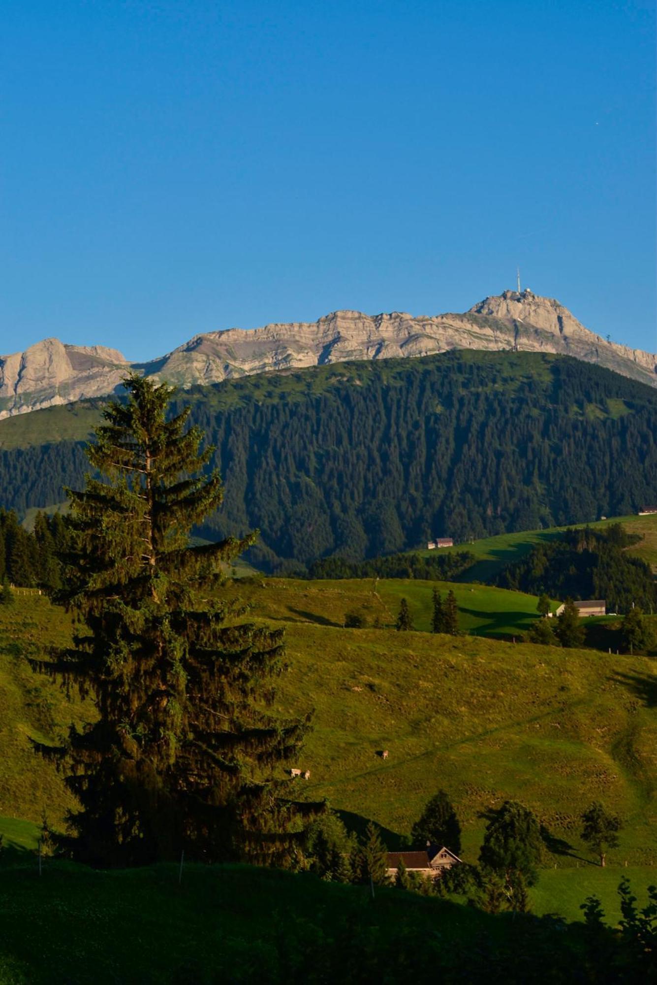 Ferienwohnung In Buehler Naehe Appenzell Buhler 外观 照片